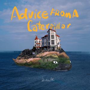 东北野鸡大学洗澡网
