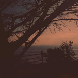 东北野鸡大学洗澡网
